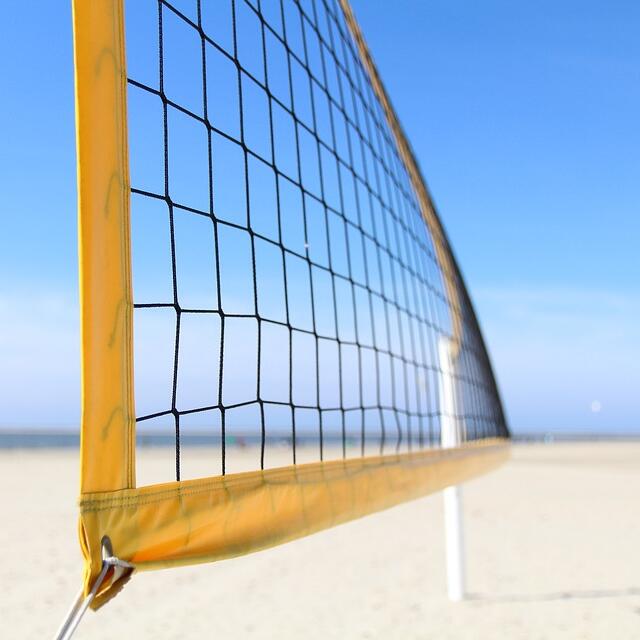 Multi-Purpose Knotted Sports N - огляд і ціна Badminton Ina